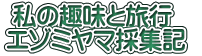  私の趣味と旅行　 エゾミヤマ採集記